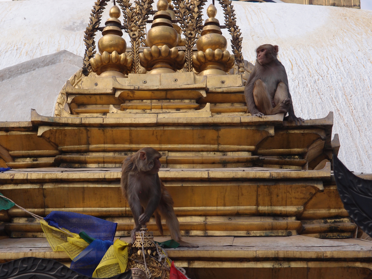 2018-01-14 13 Uhr - Am Tempel (Audio, Foto) 